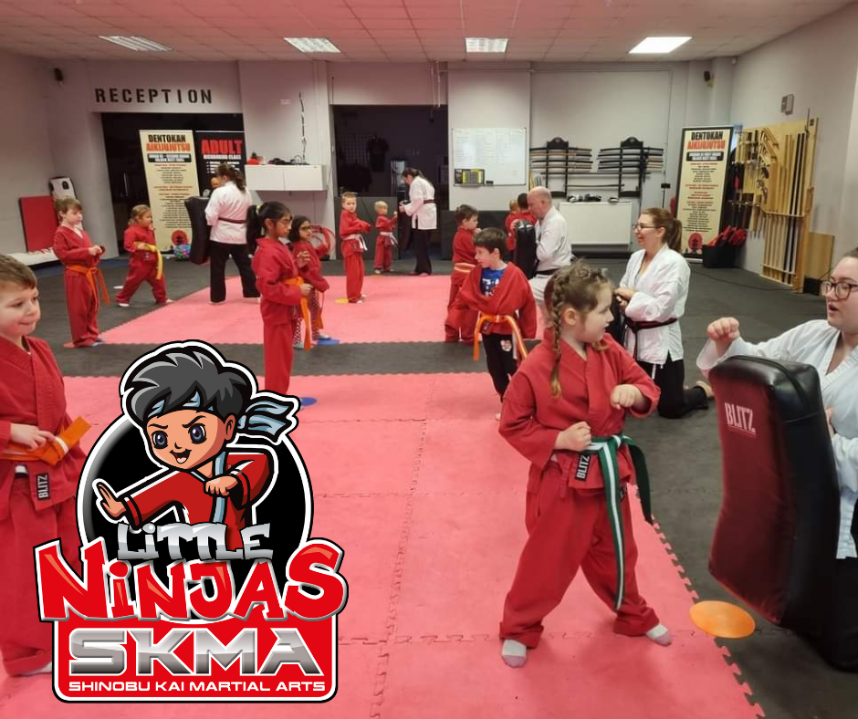 Little Ninjas class at SKMA Martial Arts in Totton